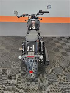 2025 BENDA CHINCHILLA 500   - Photo 11 - Las Vegas, NV 89146