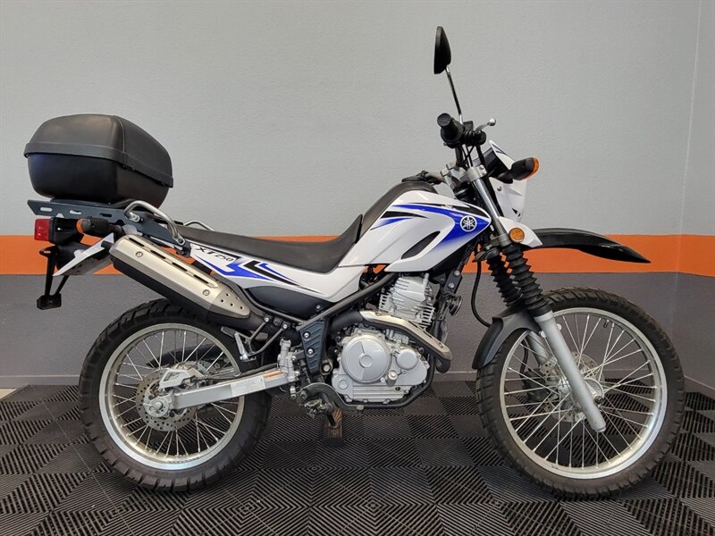 2009 YAMAHA XT250  