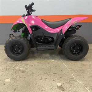 2017 Kawasaki KFX 50   - Photo 2 - Las Vegas, NV 89146