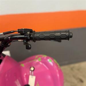 2017 Kawasaki KFX 50   - Photo 10 - Las Vegas, NV 89146