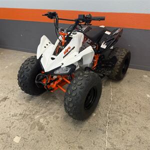 2020 Kayo 125 QUAD - Photo 5 - Las Vegas, NV 89146