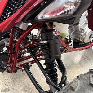 2019 Yamaha Raptor Special Edition   - Photo 12 - Las Vegas, NV 89146