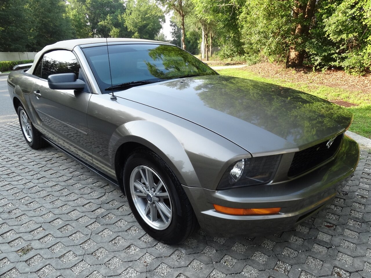 2005 Ford Mustang V6 Deluxe Leather - Photo 5 - Deland, FL 32720