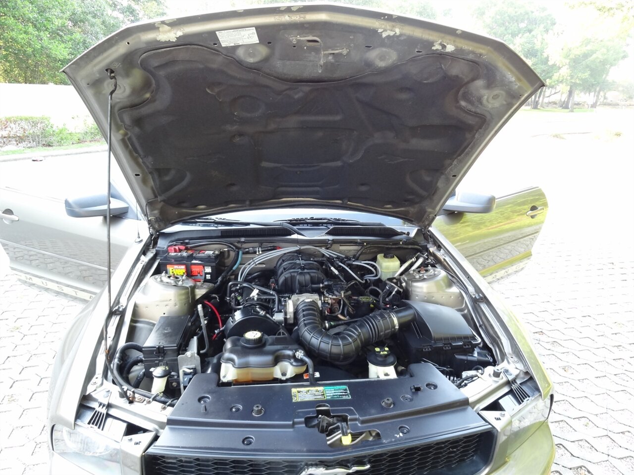 2005 Ford Mustang V6 Deluxe Leather - Photo 33 - Deland, FL 32720
