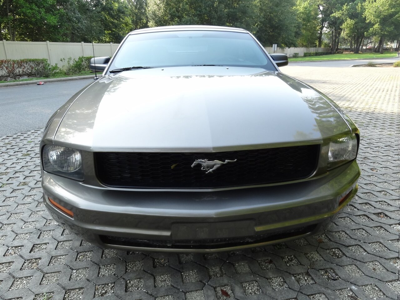2005 Ford Mustang V6 Deluxe Leather - Photo 9 - Deland, FL 32720