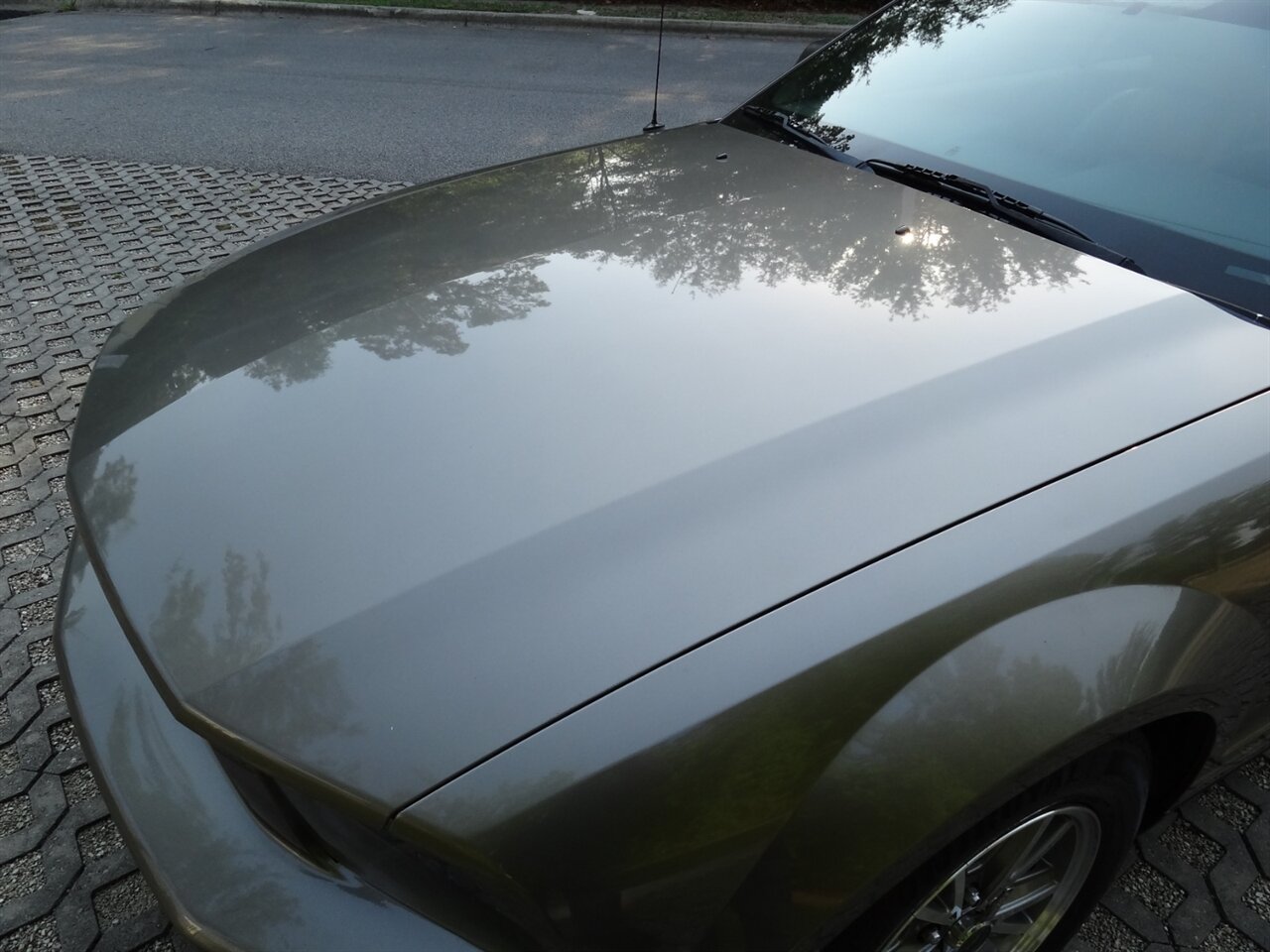 2005 Ford Mustang V6 Deluxe Leather - Photo 25 - Deland, FL 32720