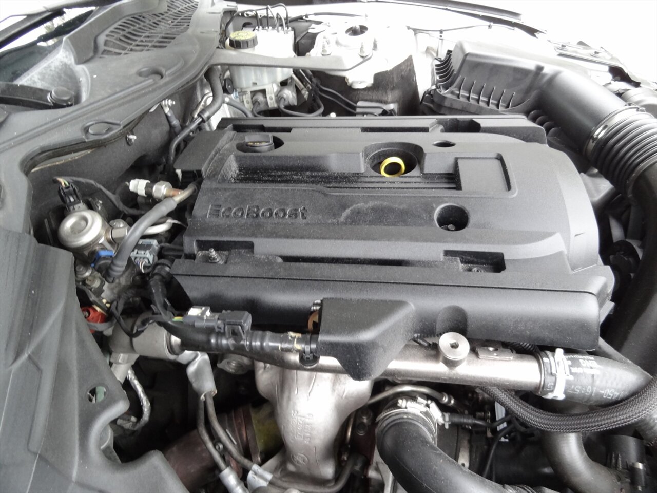2019 Ford Mustang EcoBoost  Premium - Photo 29 - Deland, FL 32720