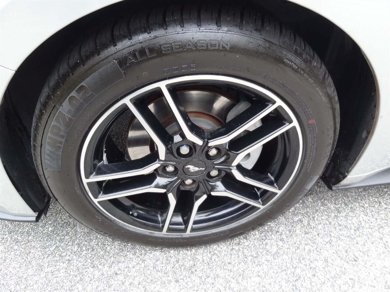 2019 Ford Mustang EcoBoost  Premium - Photo 30 - Deland, FL 32720