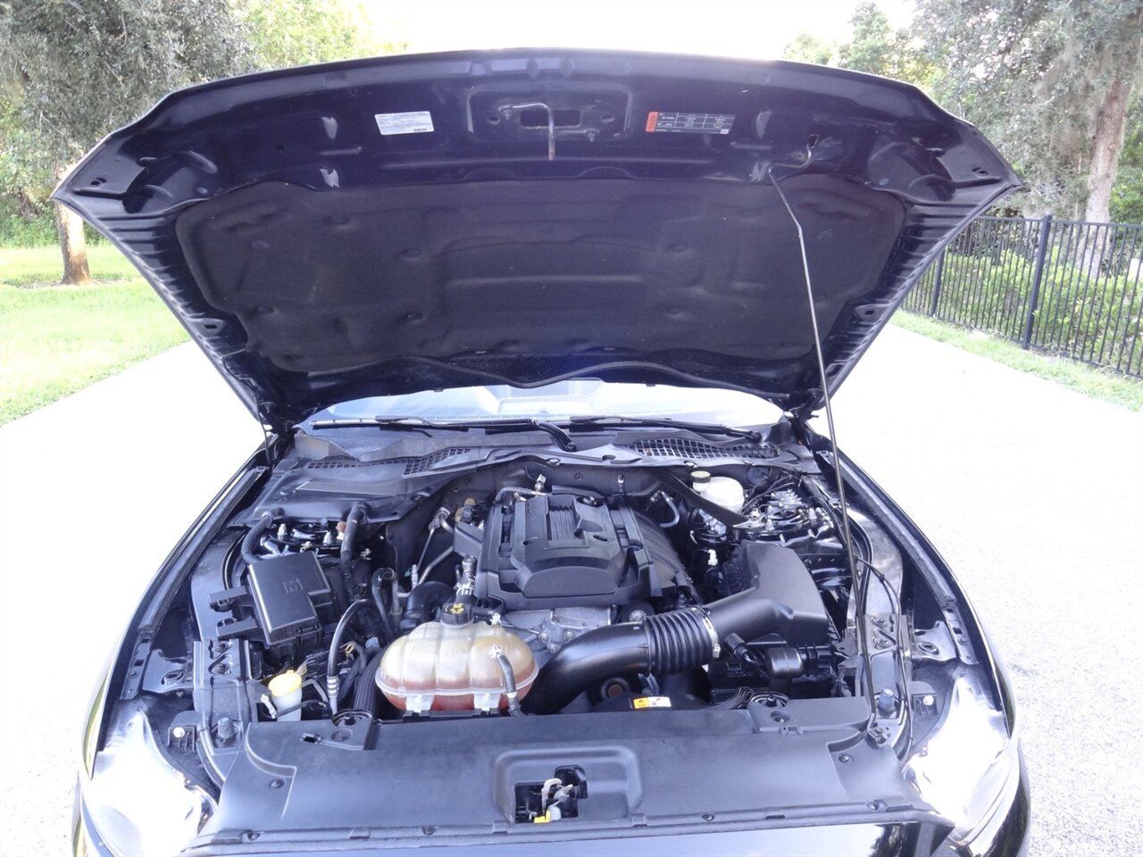 2015 Ford Mustang EcoBoost Premium   - Photo 25 - Deland, FL 32720
