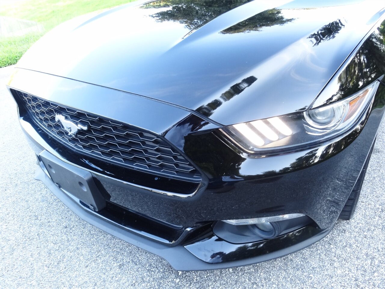 2015 Ford Mustang EcoBoost Premium   - Photo 11 - Deland, FL 32720
