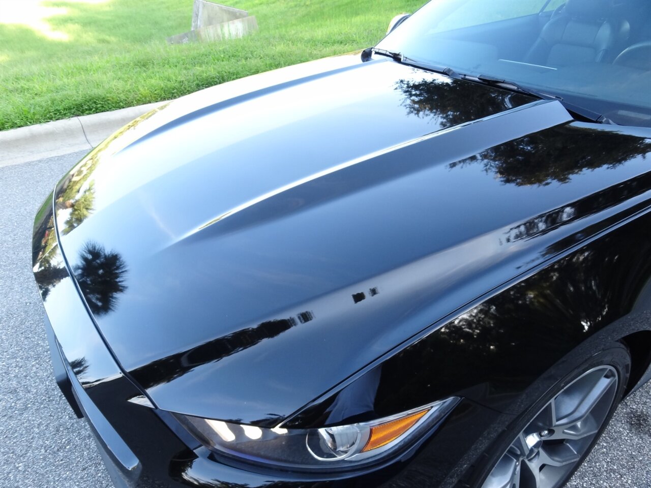2015 Ford Mustang EcoBoost Premium   - Photo 23 - Deland, FL 32720