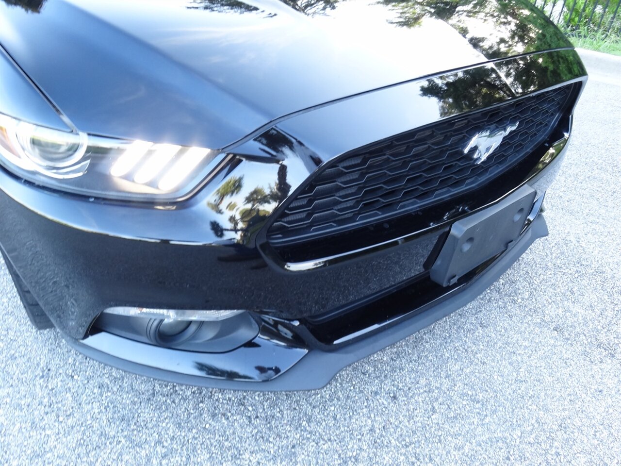 2015 Ford Mustang EcoBoost Premium   - Photo 10 - Deland, FL 32720