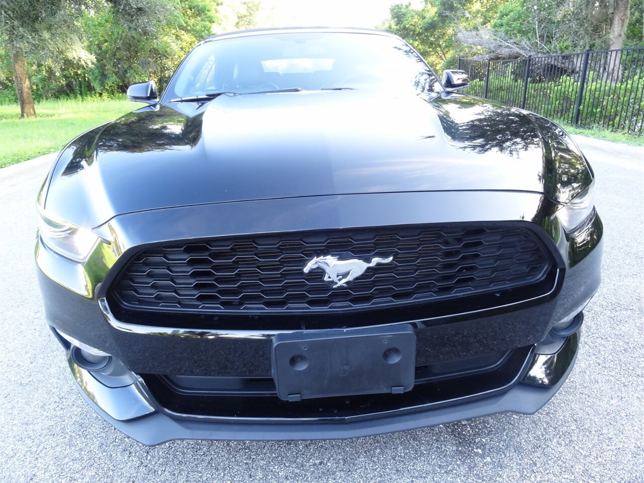 2015 Ford Mustang EcoBoost Premium   - Photo 9 - Deland, FL 32720