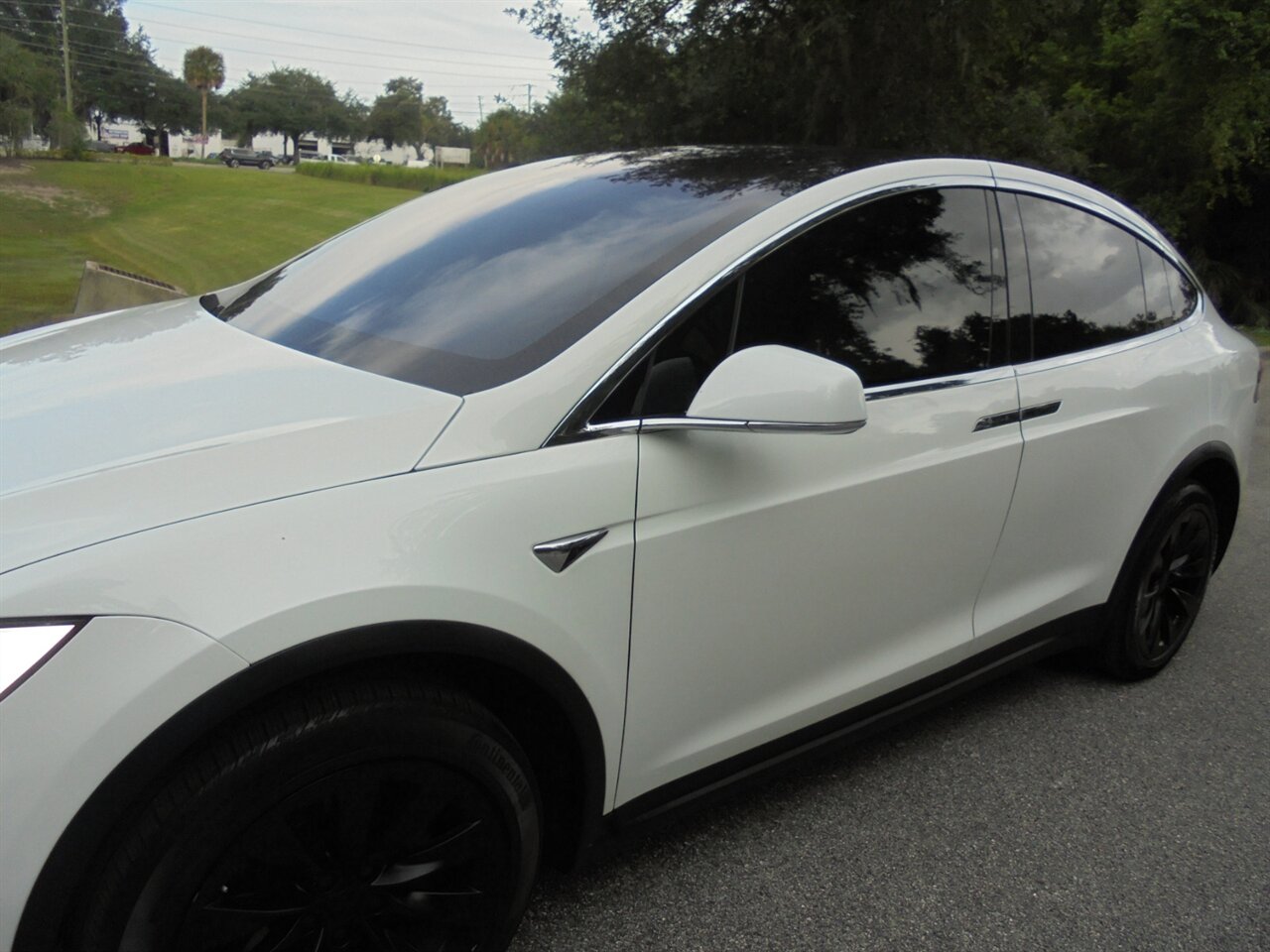 2018 Tesla Model X 75D  Premium AWD - Photo 10 - Deland, FL 32720