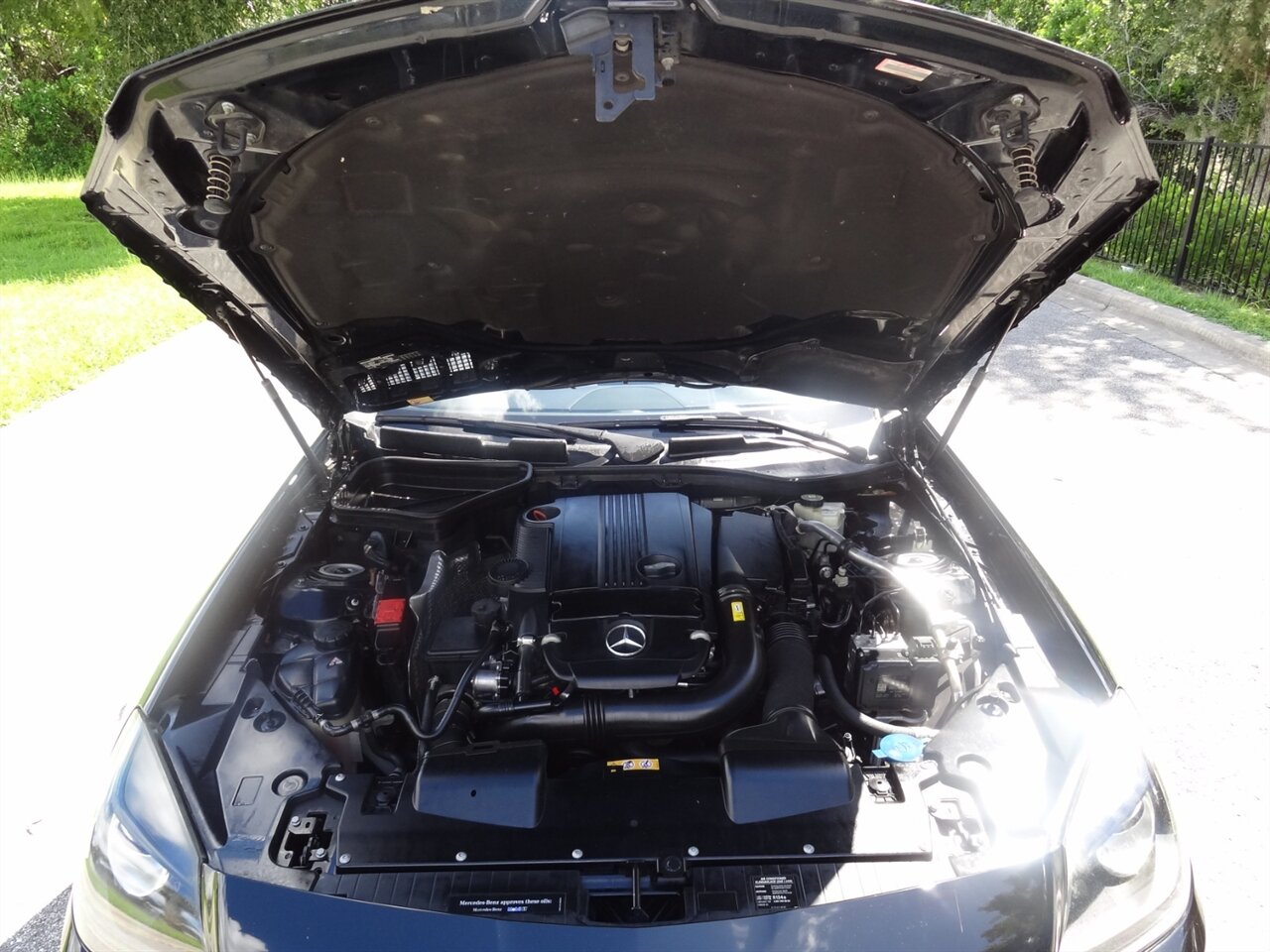 2014 Mercedes-Benz SLK SLK 250  Premium - Photo 30 - Deland, FL 32720