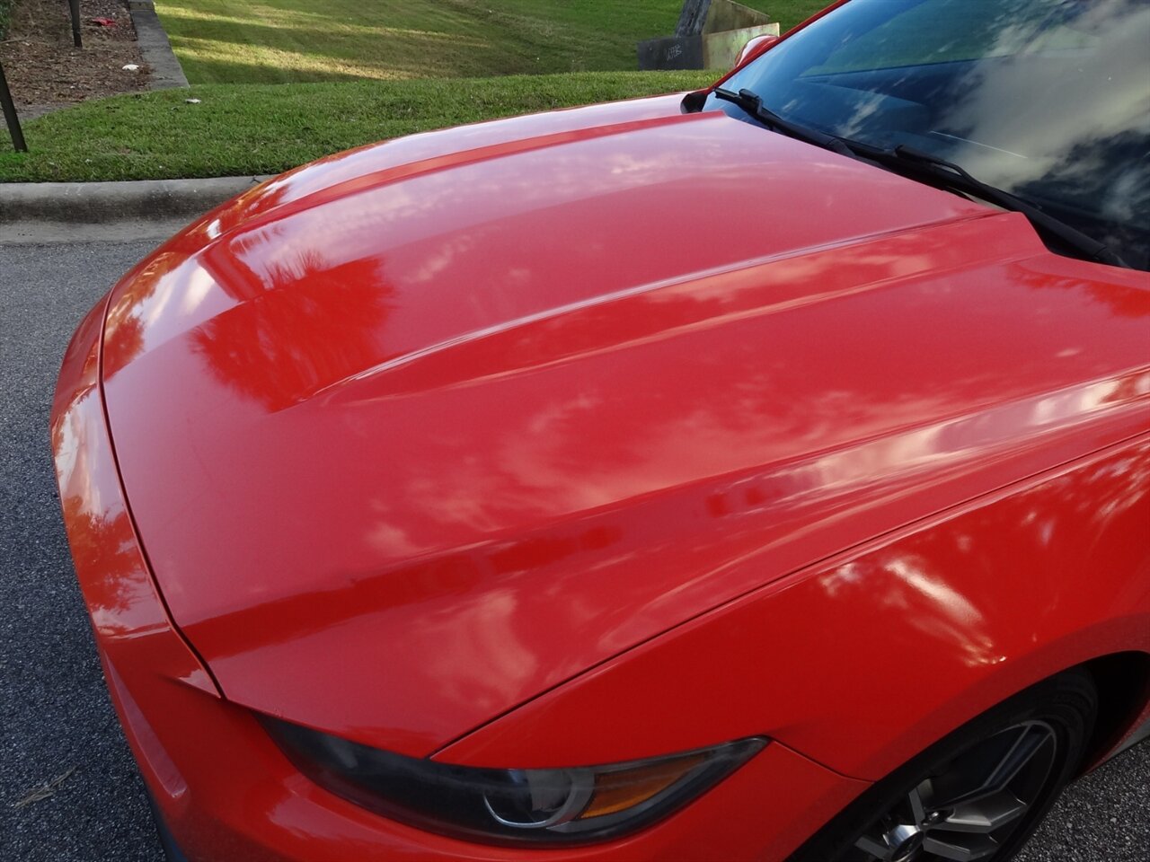 2016 Ford Mustang EcoBoost Premium - Photo 19 - Deland, FL 32720