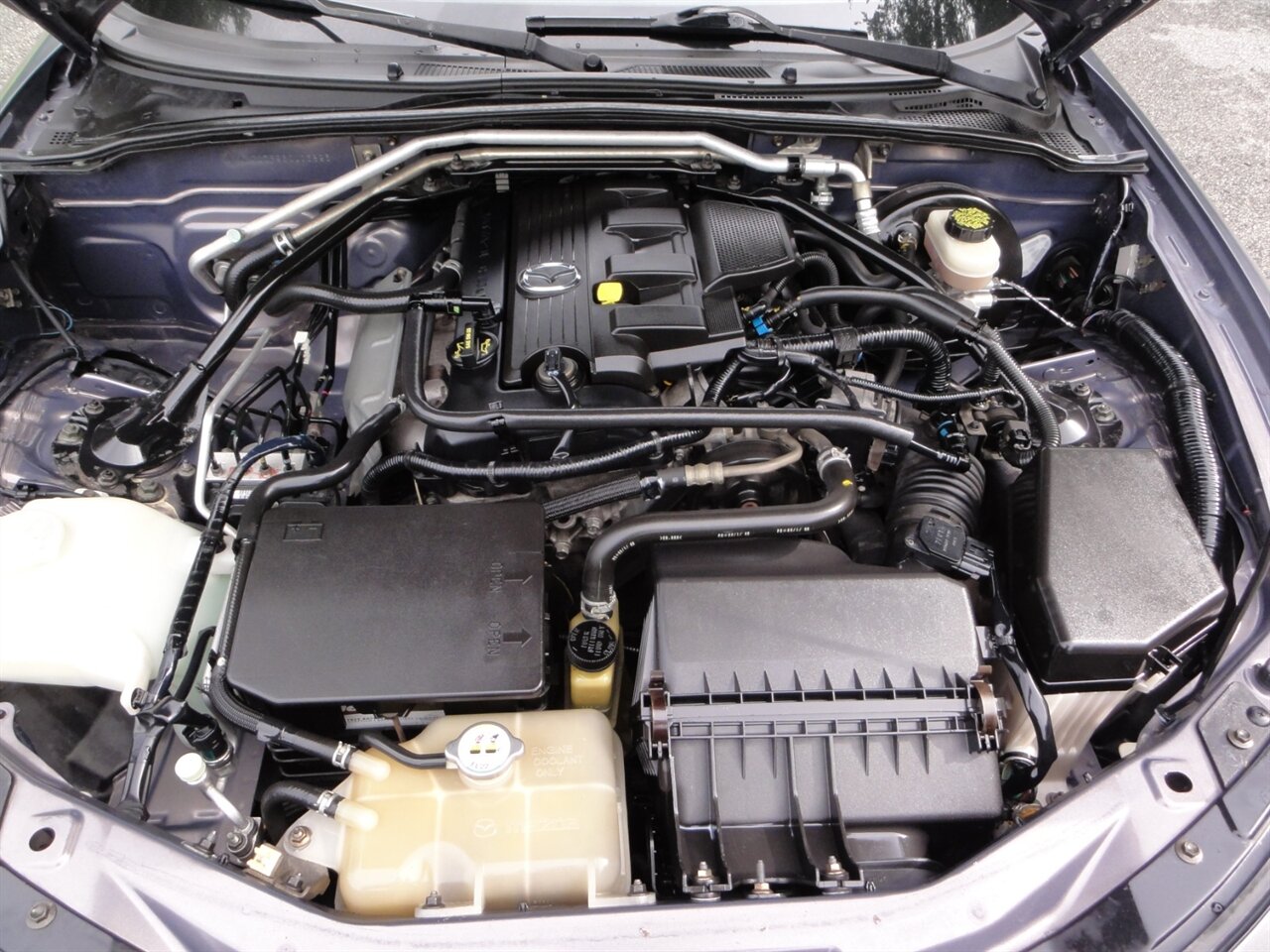 2006 Mazda MX-5 Miata Club Spec - Photo 35 - Deland, FL 32720