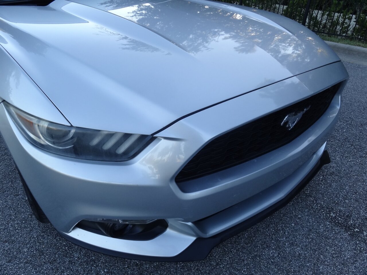 2015 Ford Mustang EcoBoost Premium   - Photo 11 - Deland, FL 32720