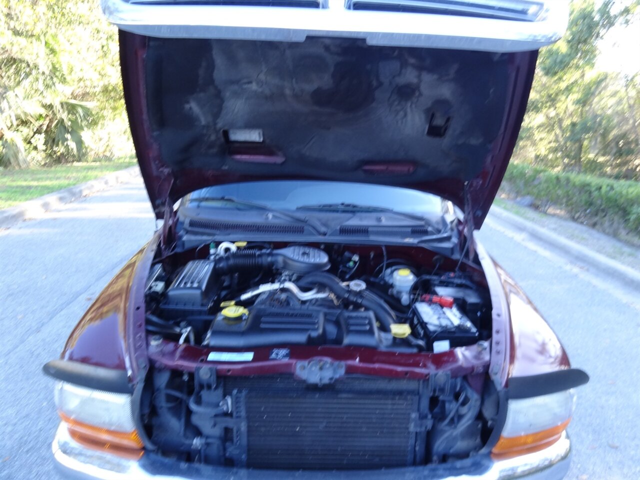 2000 Dodge Dakota SLT   - Photo 25 - Deland, FL 32720