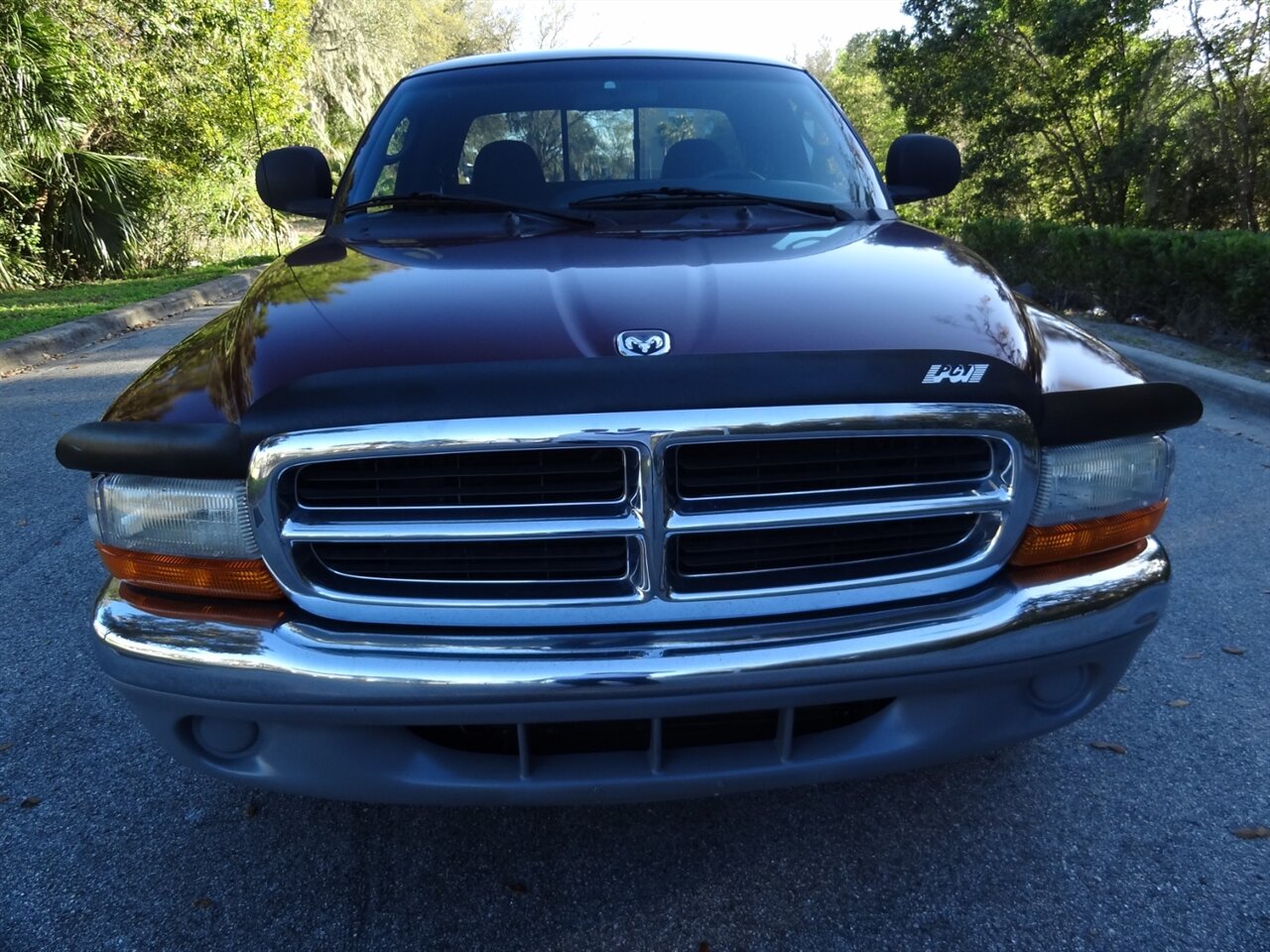 2000 Dodge Dakota SLT   - Photo 5 - Deland, FL 32720