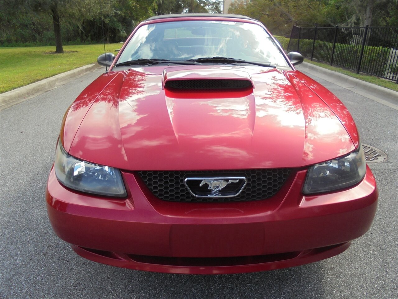 2001 Ford Mustang GT  Premium - Photo 7 - Deland, FL 32720