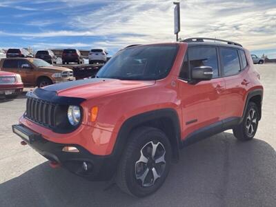 2019 Jeep Renegade Trailhawk  