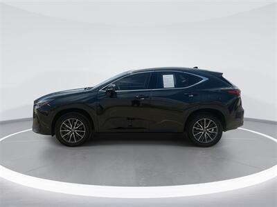 2024 Lexus NX 350 Premium   - Photo 5 - McKinney, TX 75070