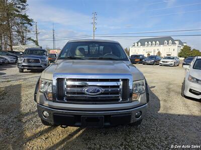 2010 Ford F-150 XL  