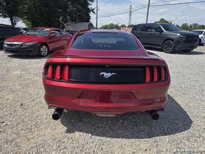 2015 Ford Mustang EcoBoost   - Photo 6 - Garner, NC 27529