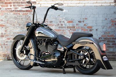 2020 Harley-Davidson Softail CUSTOM SOFTAIL DELUXE   - Photo 3 - Orlando, FL 32820