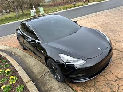 2019 Tesla Model 3 Standard Range Plus   - Photo 3 - San Jose, CA 95131