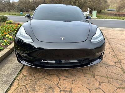 2019 Tesla Model 3 Standard Range Plus   - Photo 6 - San Jose, CA 95131