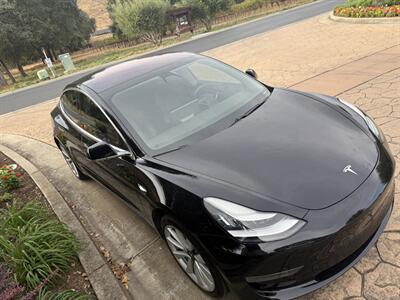 2019 Tesla Model 3 Standard Range Plus   - Photo 3 - San Jose, CA 95131