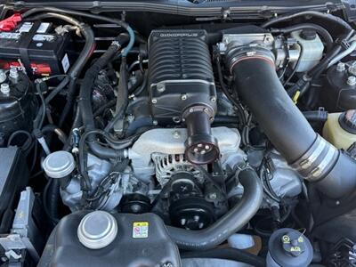 2007 Ford Mustang Shelby GT/SC   - Photo 7 - San Jose, CA 95131