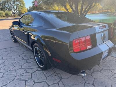 2007 Ford Mustang Shelby GT/SC   - Photo 10 - San Jose, CA 95131