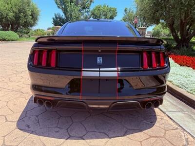 2016 Ford Mustang Shelby GT350   - Photo 8 - San Jose, CA 95131