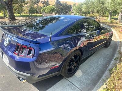 2010 Ford Mustang Shelby GT500   - Photo 7 - San Jose, CA 95131