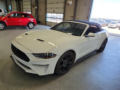 2019 Ford Mustang EcoBoost Premium   - Photo 4 - Edmonton, AB T6E 6B3