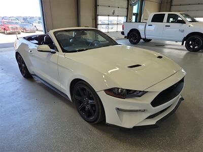 2019 Ford Mustang EcoBoost Premium   - Photo 1 - Edmonton, AB T6E 6B3