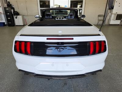 2019 Ford Mustang EcoBoost Premium   - Photo 3 - Edmonton, AB T6E 6B3