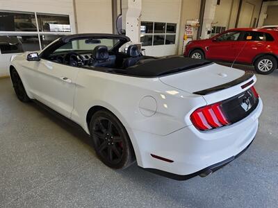 2019 Ford Mustang EcoBoost Premium   - Photo 2 - Edmonton, AB T6E 6B3