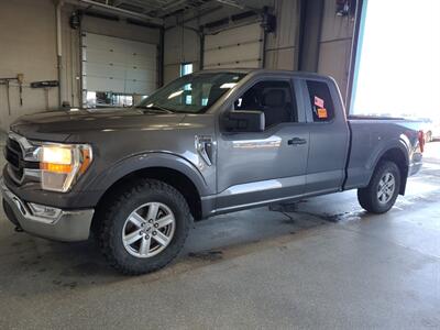 2021 Ford F-150 XLT   - Photo 1 - Edmonton, AB T6E 6B3