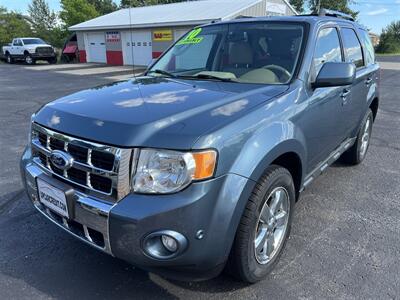 2010 Ford Escape Limited AWD SUV