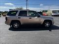 2006 Chevrolet Trailblazer LS   - Photo 4 - Negaunee, MI 49866