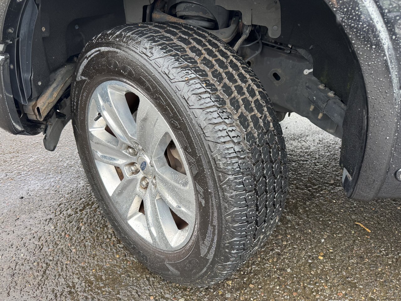 2015 Ford F-150 Platinum 4x4 ADAPTIVE CRUISE PANORAMA   - Photo 35 - Portland, OR 97211