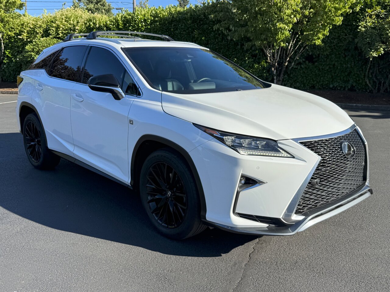 2017 Lexus RX 350 F SPORT - Photo 6 - Portland, OR 97211