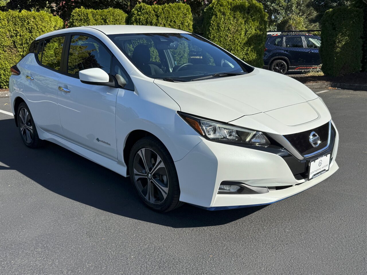 2019 Nissan LEAF SV PLUS INSTANT REBATE OF $9K FOR OREGON RESIDENTS   - Photo 6 - Portland, OR 97211