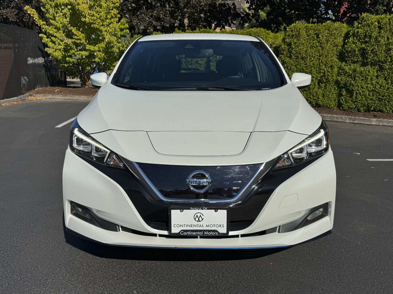 2019 Nissan LEAF SV PLUS INSTANT REBATE OF $9K FOR OREGON RESIDENTS   - Photo 5 - Portland, OR 97211