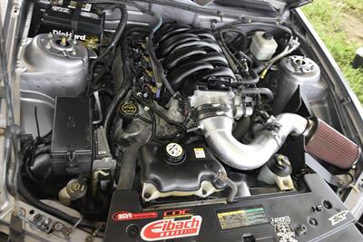 2007 Ford Mustang GT Premium CUSTOM HOOD/EXHAUST/TUNED PREM WHLS   - Photo 33 - Stafford, TX 77477