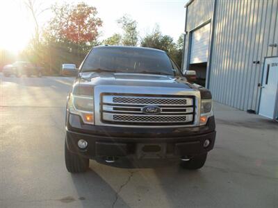 2014 Ford F-150 Platinum - Photo 3 - Santa Fe, TX 77510